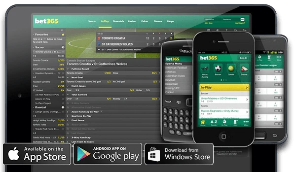 Visual of the different versions of the platform